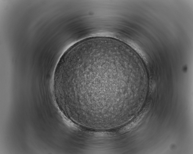 X0000100200988200806061318