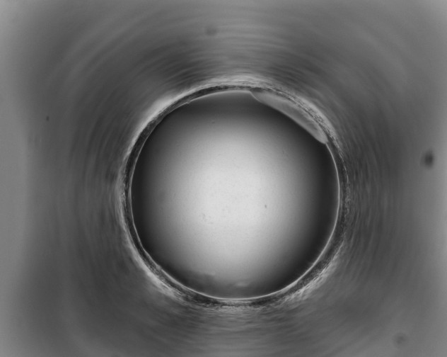 X0000100200989200806061318