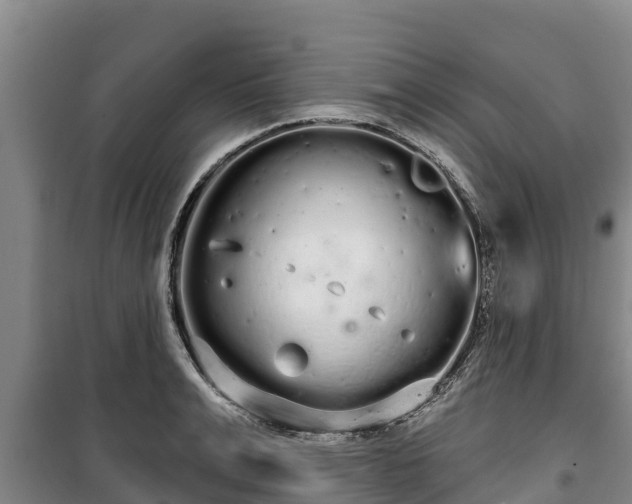 X0000100200991200806061318