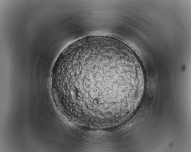 X0000100200992200806061318