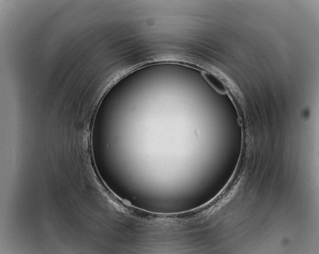 X0000100200993200806061318