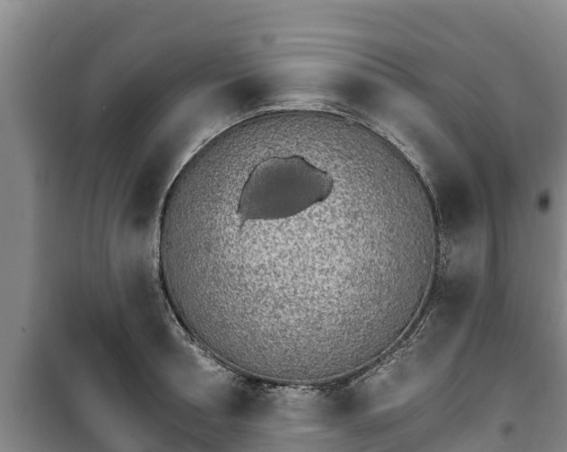 X0000100200994200806061318