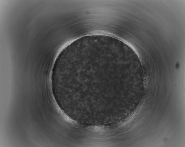 X0000100200995200806061318