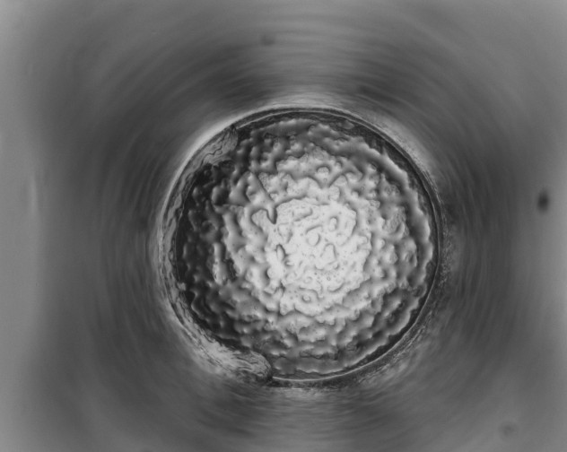 X0000100200996200806061318