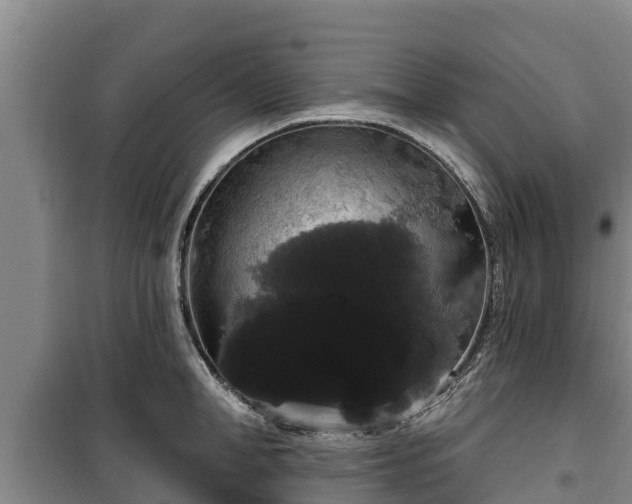 X0000100200998200806061318