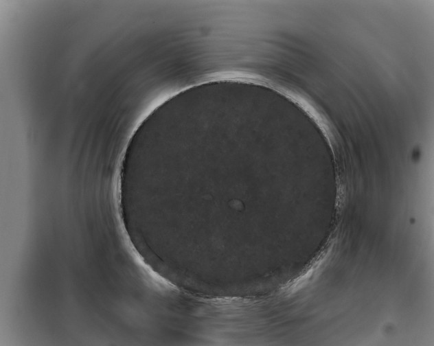 X0000100200999200806061318