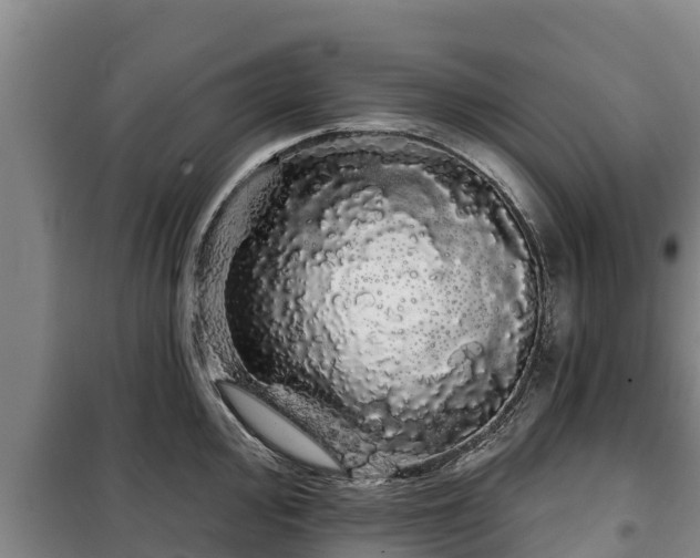 X0000100201000200806061318