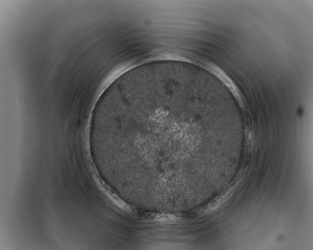 X0000100201002200806061318