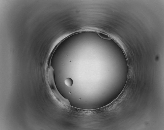 X0000100201003200806061318