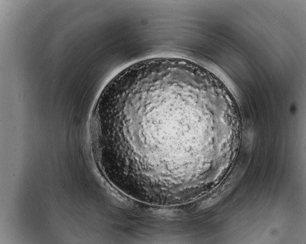 X0000100201004200806061318