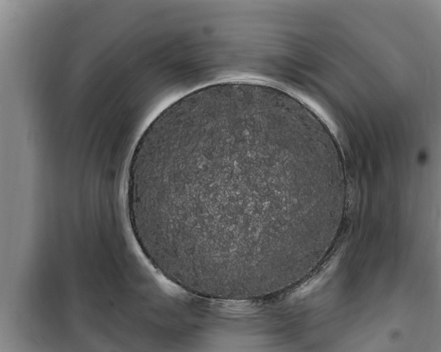 X0000100201007200806061318