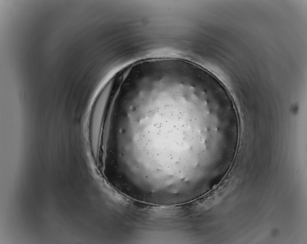 X0000100201008200806061318