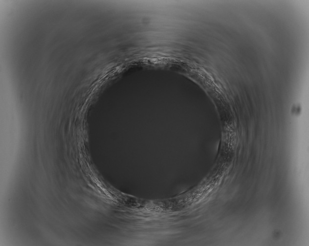 X0000100201009200806061317