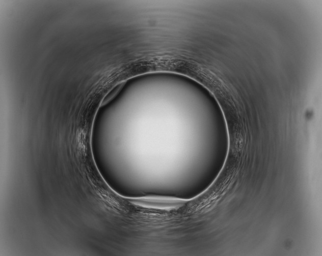 X0000100201010200806061317