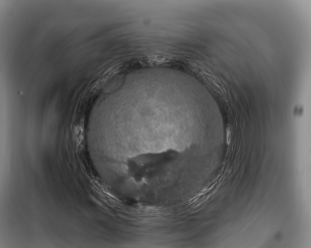 X0000100201011200806061317