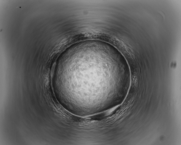 X0000100201012200806061317