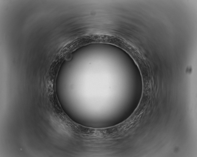 X0000100201013200806061317