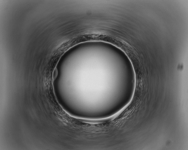 X0000100201014200806061317