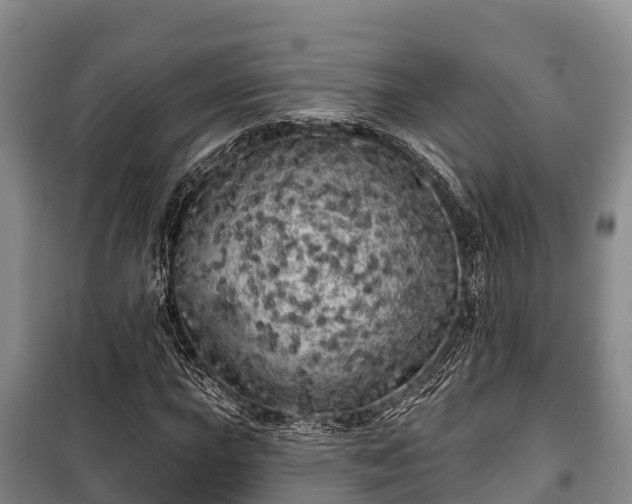 X0000100201015200806061317