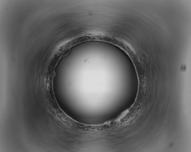 X0000100201016200806061317