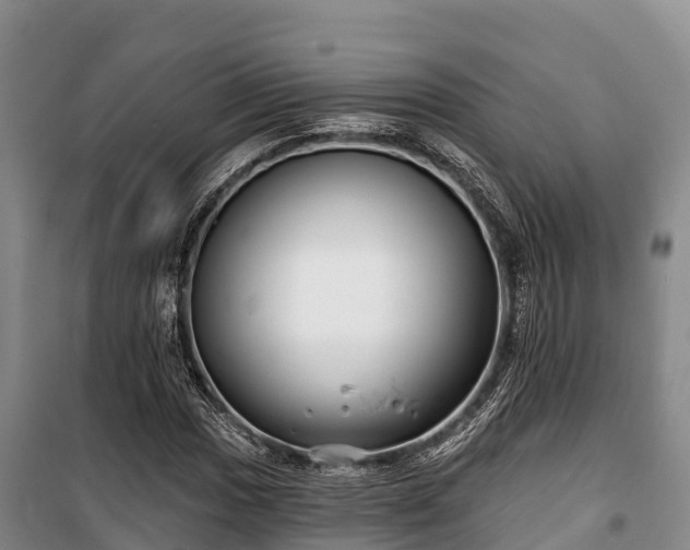 X0000100201017200806061317