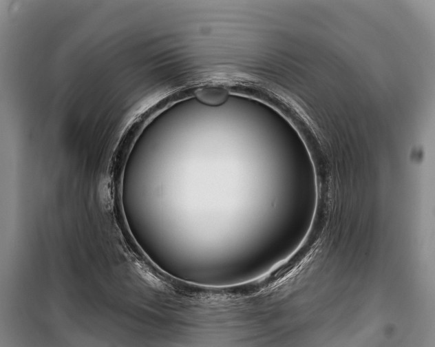 X0000100201018200806061317