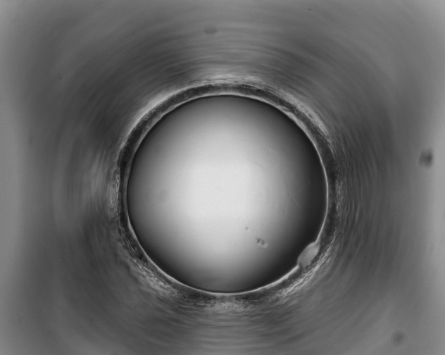 X0000100201021200806061317