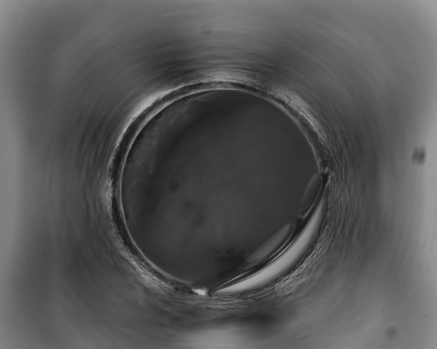 X0000100201024200806061317