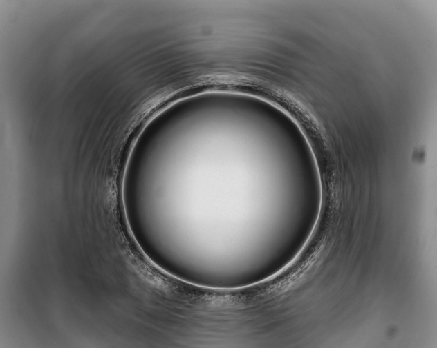 X0000100201025200806061317