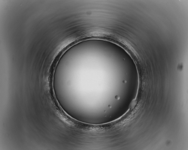 X0000100201026200806061317