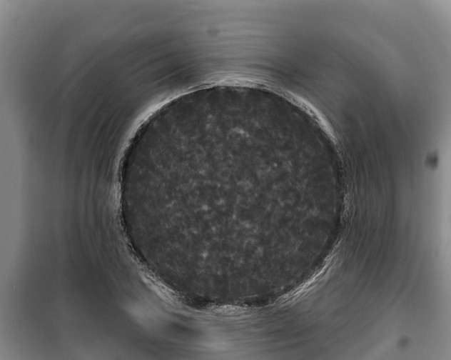 X0000100201027200806061317