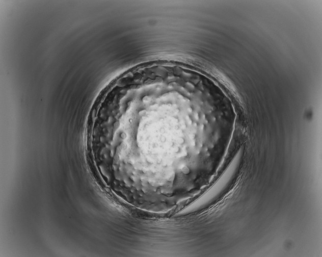 X0000100201028200806061317