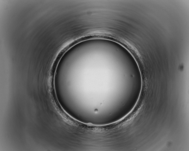 X0000100201029200806061317