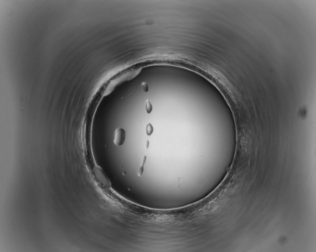 X0000100201030200806061317