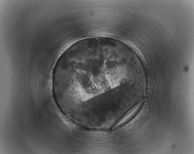 X0000100201031200806061317