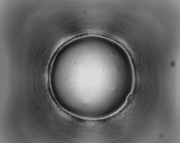 X0000100201032200806061317