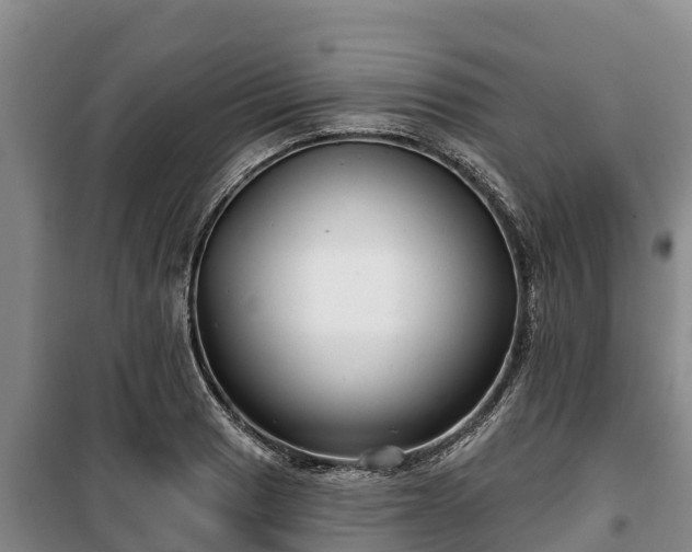 X0000100201033200806061317