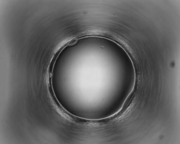 X0000100201034200806061317