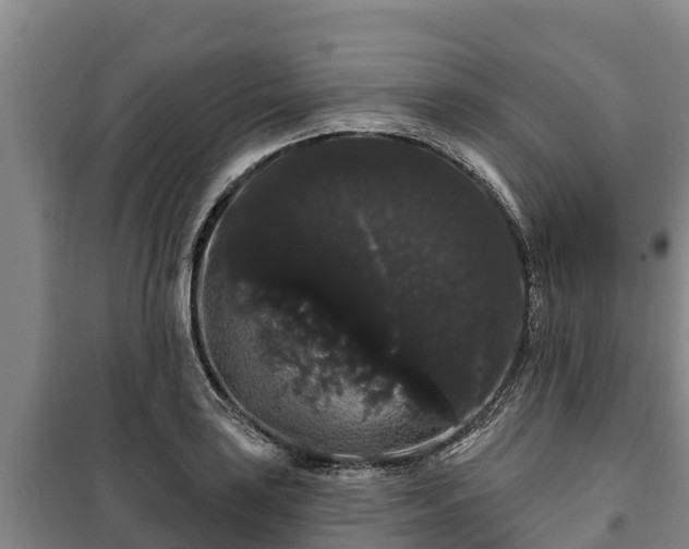 X0000100201035200806061317