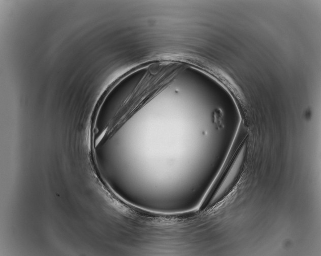 X0000100201036200806061317