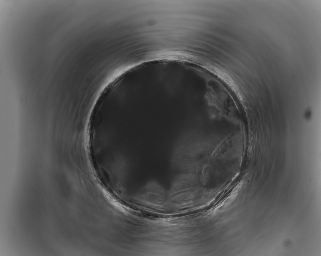 X0000100201037200806061317