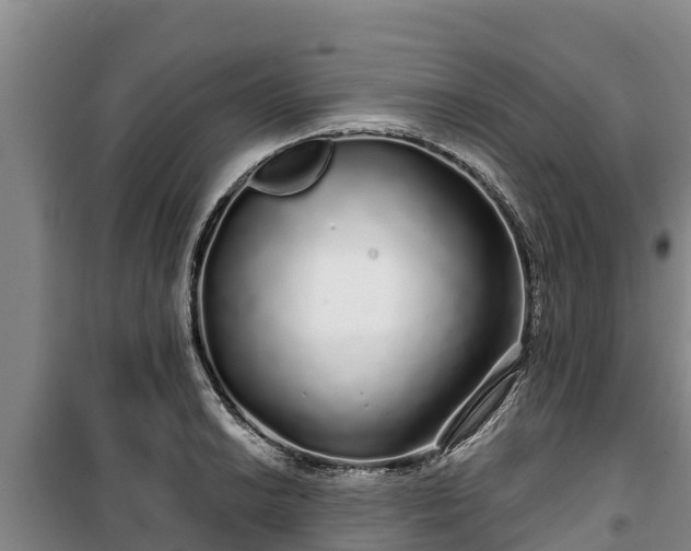 X0000100201038200806061317