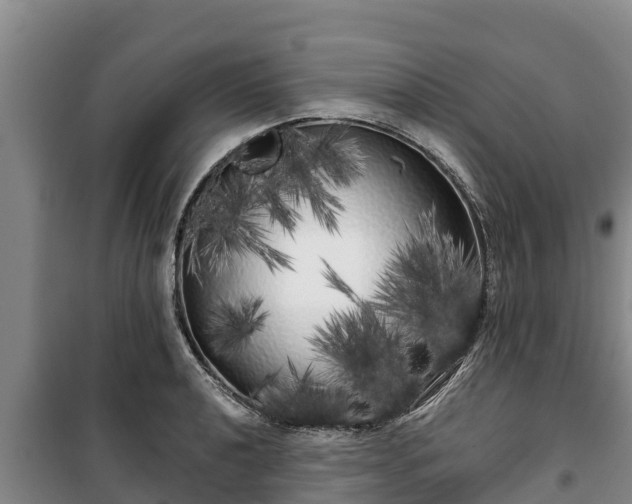 X0000100201040200806061317
