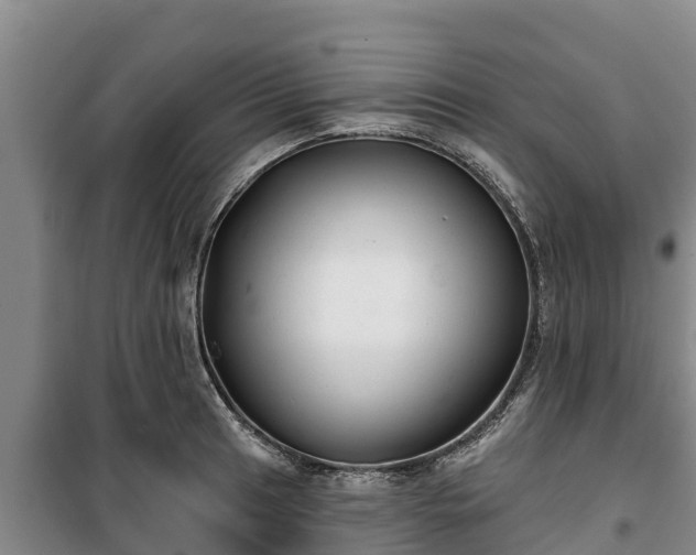 X0000100201041200806061317