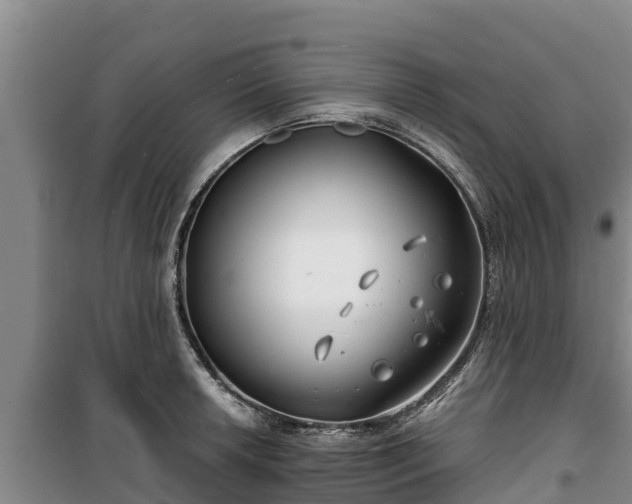 X0000100201042200806061318