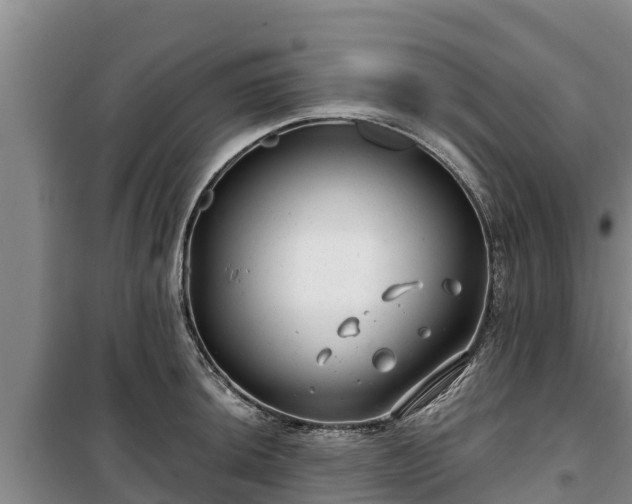 X0000100201044200806061318