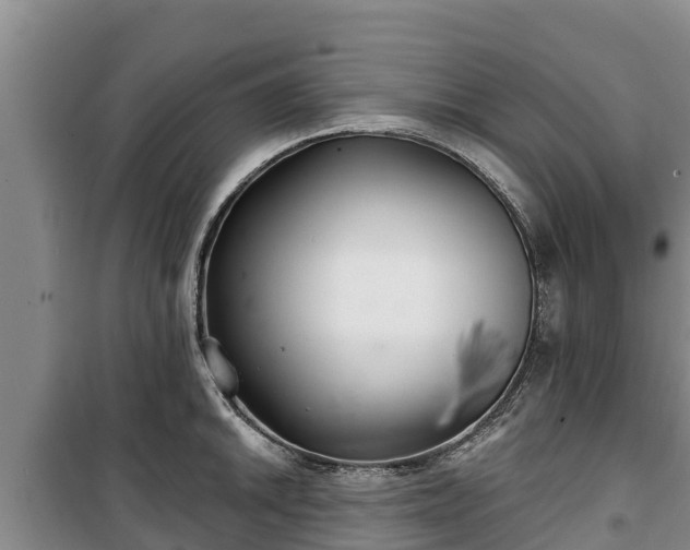 X0000100201046200806061318