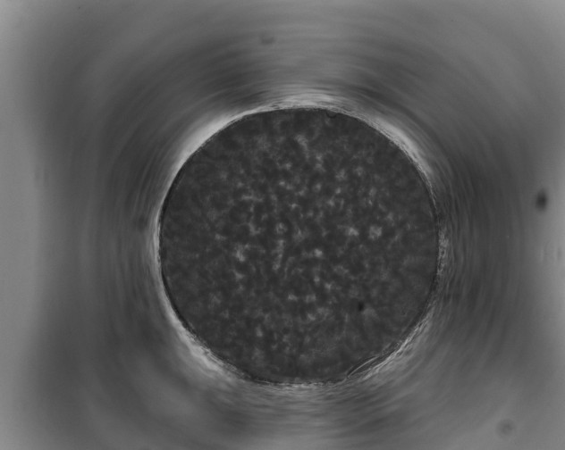 X0000100201047200806061318