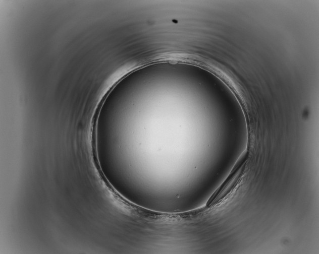 X0000100201050200806061318