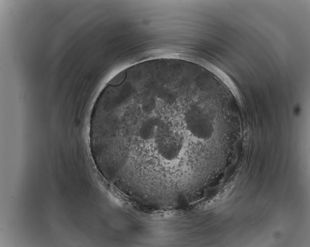 X0000100201051200806061318